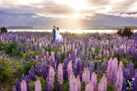 Along Lake Tekapo’s Shore In New Zealand, The Couple Is Surrounded By Vibrant Lupines Highlighting Energy And Vivid Colors Along the lakeshore of Lake Tekapo in New Zealand, the couple is surrounded by vibrant pink and purple lupines, their playful energy set against the vivid natural colors.