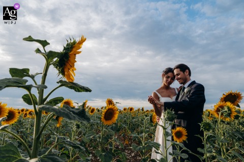   At Domaine in Indre, the wedding couple stands together amid a field of sunflowers, the golden blooms creating a picturesque natural backdrop for their portrait.