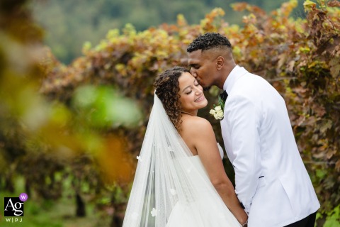   At Breaux Vineyards in Purcellville, Virginia, the couple stands together among rows of grapevines, with lush greenery creating a classic vineyard wedding portrait.