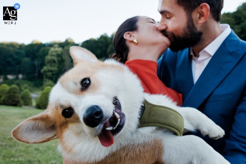 Playful Parisian Image Shows A Dog Turning Away As The Couple Shares A Romantic Kiss, Adding Humor To The Portrait A humorous detail unfolds in Paris, where a dog turns away in apparent dismay as a couple shares a romantic kiss, blending charm with lightheartedness.