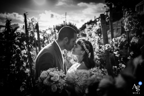 Sunlit Landscape And Sincere Smiles Frame The Couple At Campsite La Lampara In Campiglia Campsite La Lampara in Campiglia is the setting for a portrait where the couple’s genuine expressions are complemented by the lush, sunlit landscape.