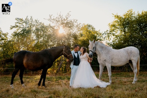 Horses Accompany The Couple In A Distinctive Portrait At Their Reception Site, Blending Love Of Animals And Wedding Joy At their reception site, the couple is joined by their horses, making for a distinctive portrait that blends the beauty of their wedding with their love of animals.