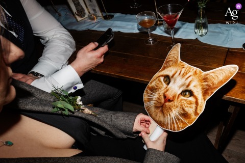  Wedding guests gather around a cat-shaped sign on the dance floor at Kinmount House in Dumfries & Galloway, Scotland, infusing the lively reception with a playful touch.