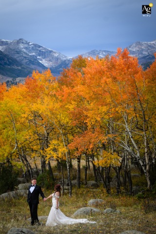 Couple Strolls Amid Vibrant Fall Foliage In Rocky Mountain National Park Colorado In Rocky Mountain National Park, Estes Park, Colorado, the couple strolls amidst colorful fall foliage, the expansive natural scenery providing a breathtaking backdrop for their wedding portrait.