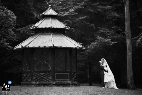 Close Portrait Of Couple Framed By Warm Inviting Outdoor Park Atmosphere Another view in the same park offers a close portrait of the couple, their expressions framed by a welcoming outdoor atmosphere.