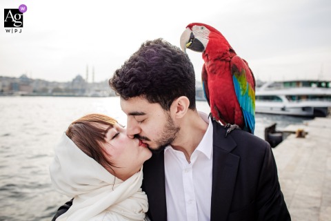 Couple Poses With Vibrant Parrot During Unique Karaköy Istanbul City Portrait In Karaköy, Istanbul, the couple poses with a vibrant parrot borrowed from a local trainer, offering a unique and lively visual element to their city portrait session.