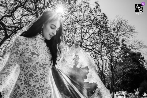 Bride Poses In Backlight With Flowing Veil And Majestic Trees Behind In backlight at the reception venue, the bride poses as sunlight and her flowing veil create a stunning scene, with the majestic outline of trees visible behind her.