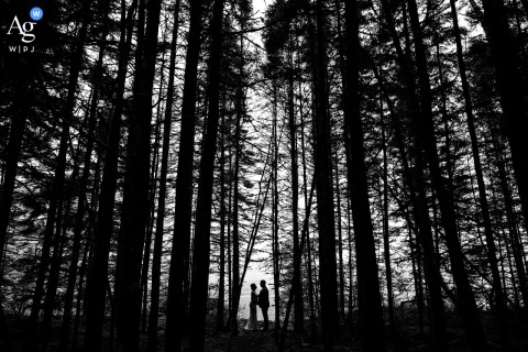   The towering trees of Acadia National Park frame the bride and groom during their elopement, giving their portrait a sense of intimacy and connection with the forest setting.