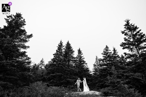   Beneath the towering pine trees of Acadia National Park in Maine, the bride and groom share a wedding portrait, their figures framed by the serene beauty and natural splendor of the forest.