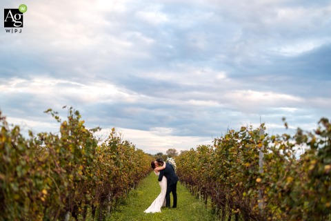 Passionate Kiss Shared Among Lush Greenery and Vineyard Rows at Tenuta Polvaro in Annone Veneto, Italy In the heart of Tenuta Polvaro in Annone Veneto, Venezia, Italy, the newlyweds share a passionate kiss among rows of grapevines as lush greenery surrounds them.