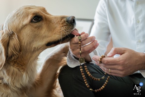 At the couple's home in Rio de Janeiro, pre-ceremony, the family dog curiously reaches out to touch the groom's rosary with its tongue, creating a heartfelt and humorous moment that contrasts the groom's formal attire with the pet's innocent curiosity.