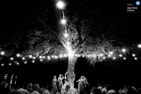 Black and white photo of a nighttime reception beneath a large tree and strings of lights by a Tuscany wedding photographer.