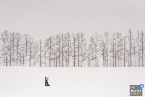 bride and groom standing far away in a snow-covered field with bare trees behind them in Taipei, Taiwan Photo of the bride and groom standing far away in a snow-covered field with bare trees behind them by a Taipei, Taiwan wedding photographer.