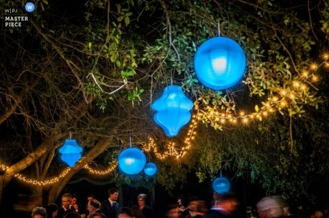 Florida Wedding Photography | Image contains: reception, blue, lanterns, trees, outdoors, color, lights