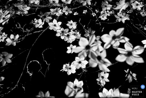 The outline of the bride and groom can be seen through the branches of a cherry tree at night in this black and white documentary-style wedding photo by an award-winning Lake Tahoe, CA photographer.