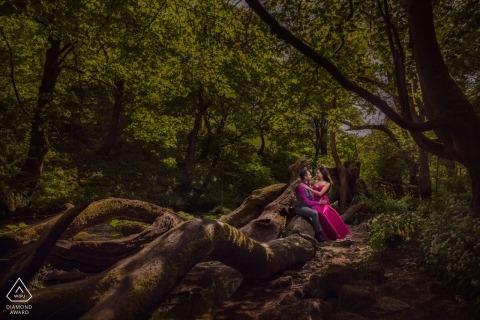 England engagement images of a couple sitting on huge tree logs and roots  | London photographer pre-wedding session for portraits