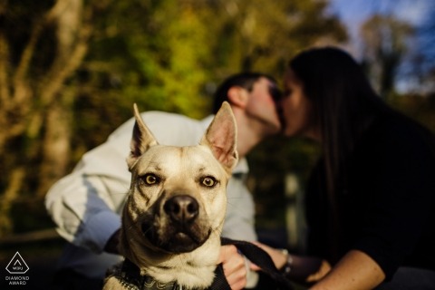 Kelly Drive Philadelphia engagement photo session | "This dog stared into my soul and I took the picture of it."