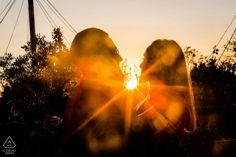 Engagement Photography at Pennsylvania Longwood Gardens - Photographer Quote: "The sun was setting and I saw the stars in their eyes. Literally."