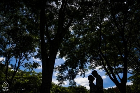 Dalat, Vietnam Silhouette pre wedding portrait under the big trees.