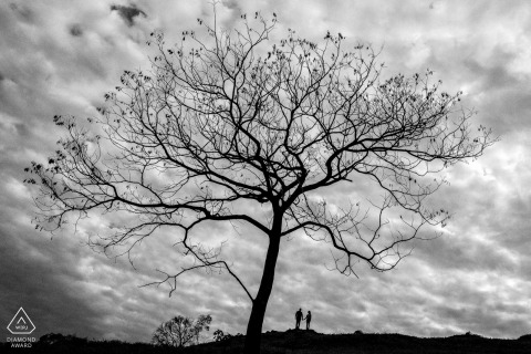 Engagement Picture Session from Matelandia, Paraná, Brazil - A great tree, a great love 