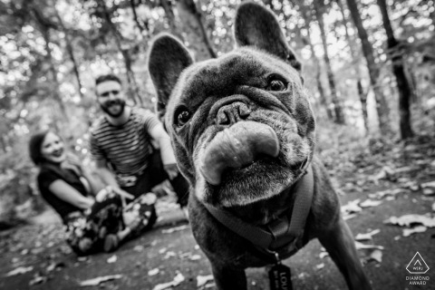 A front and center pup at the Great Falls National Park during a prewed photoshoot