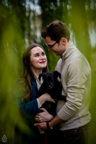 District of Columbia pre wedding and engagement photography in Washington DC of A couple embracing with their puppy under a willow tree