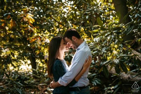 An after the marriage proposal Udine engagement photograph at Villa Ottelio with some afternoon Love inside the tree