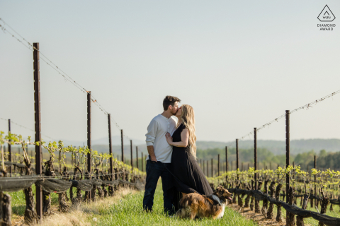 A Virginia portrait shows a unique way this newly engaged Leesburg couple is announcing their engagement with their dog in the vineyard at Stone Tower Winery 