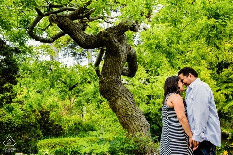A WPJA wedding photographer captured an engagement picture of a couple standing in San Francisco's woods, with only the two of them and twisted tree trunks overhead