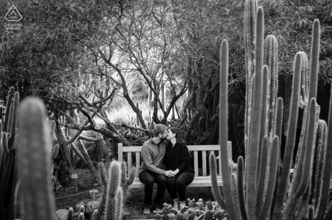 An intimate and heartfelt engagement session at Berkeley Botanical Gardens captured the couple sitting close on a bench, kissing, and sharing a tender and warm embrace as they prepare for their upcoming wedding.