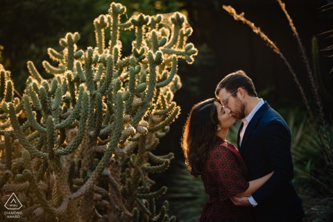 Love Blossoming in Berkley: A Romantic Engagement Portrait at the Botanical Gardens of California Engagement portrait of a couple taken at Berkeley Botanical Gardens in Berkeley, California. The photo features the couple in a beautiful garden, with the low sun creating rim light and illuminating the surrounding plants.