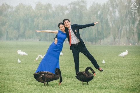A couple dressed formally dances in the park with two elegant black swans at Beijing's Purple Jade Villa. 