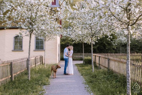 Couple Kissing Under Apple Blossoms with Their Dog at Biggesee, Sauerland, Germany At Biggesee in Olpe, Sauerland, Germany, a couple kisses under apple blossoms beside their dog, creating a serene scene.