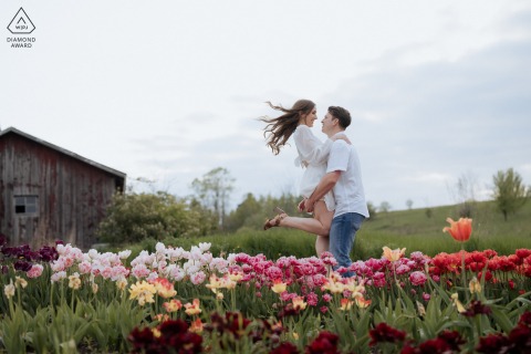 Engaged couple beams amid vibrant tulip fields and rustic barn at Country Cut Flowers, Newmarket ON.