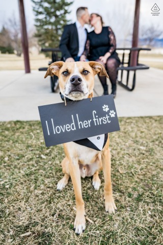 Dog in Longmont, CO, wears "I loved her first" sign; couple kissing in background, seated, softly out of focus.