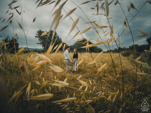 Engaged couple in Bolano, standing between tall grasses, sharing an intimate, natural portrait together.