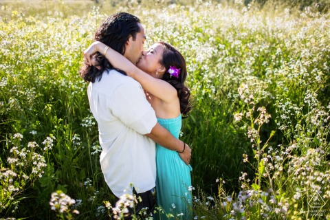 Santa Cruz, CA couple kisses in a field of tall grass in a higher-angle engagement portrait.