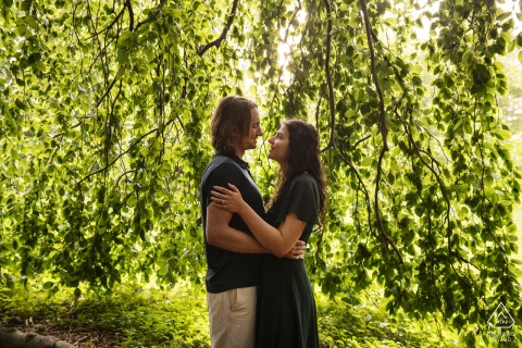 BOSTON — Surrounded by lush green foliage at the Arnold Arboretum, a couple shares an intimate embrace inside a tree, their faces close as they celebrate their engagement.