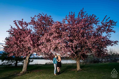 Longmont, Colorado — A couple poses among blossoming cherry trees, beautifully illuminated by the photographer's lighting. This engagement portrait captures romantic times beneath vibrant spring blooms in a serene outdoor setting.