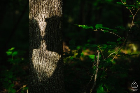 In Rhinebeck, NY, the shadows of the couple’s kissing profiles are cast onto a tree trunk, blending beautifully with the forest surroundings.