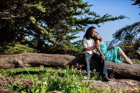In Santa Cruz, CA, a Northern California engagement portrait shows the couple relaxing on a downed tree trunk, with her leaning onto him as they bask in the sunshine.