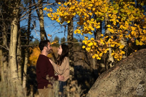 The couple is bathed in dappled light beneath the trees at South Lake Tahoe, with warm sunlight filtering through the leaves to create a soft and inviting engagement portrait.