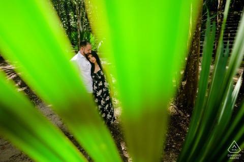An Engaged Couple Stands Nestled Among The Lush Jungle Leaves At The Coba Arqueological Site An engaged couple stands nestled among the vibrant green leaves of the jungle at the Coba Arqueological Site, sharing a quiet and intimate connection surrounded by lush tropical nature.