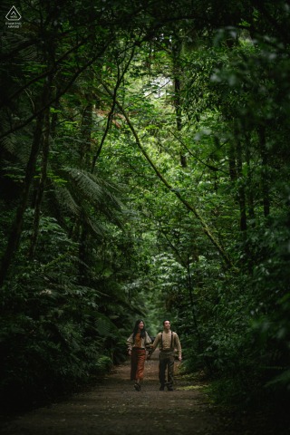 An adventurous couple is seen walking together among giant jungle trees in Wanaka, New Zealand, during a unique engagement session that highlights the towering and impressive scale of nature.
