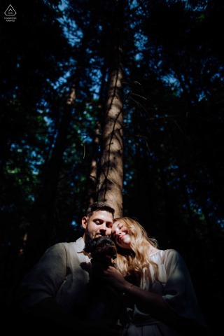 In Budakeszi, Hungary, a couple stands among tall trees, shown in a shadowed forest engagement portrait that emphasizes intimacy and soft natural light.