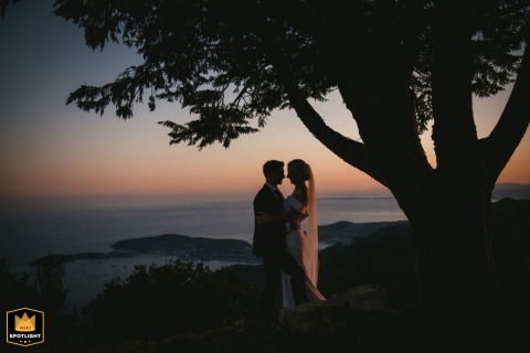 A WPJA wedding photo: The bride and groom share a kiss at dusk in Nice, France, silhouetted with a prominent tree.