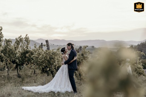 In the courtyard of Podere Palazzo, Cesena, Italy, the bride and groom share a tender love pose amidst the vineyards at sunset, bathed in golden light and surrounded by breathtaking natural beauty.