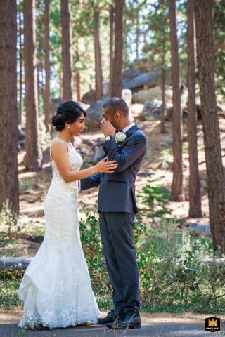 In South Lake Tahoe, CA, a wedding couple stands face-to-face under tall trees. Their visible emotions highlight an intimate scene.
