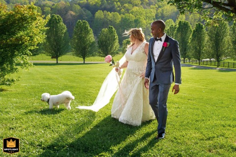 At Aska Farms in Blue Ridge, GA, a couple's poodle takes a leak during their portrait session. The candid moment captures a humorous, natural part of their wedding day.