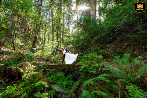 Groom Dips His Bride in Firefighter Uniform Amidst a Lush Redwood Forest Groom in firefighter uniform dips his wife in a lush redwood forest at Samuel P. Taylor State Park, California.